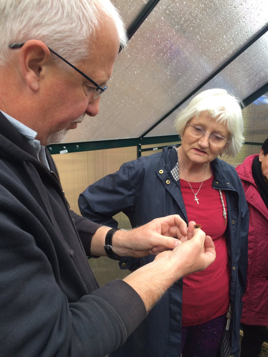 ictsalford's tweet photo. Older people's network salford sports village growing and planting herbs learning new skills showing  off the lovely new greenhouse https://t.co/8pCXfhUtp6