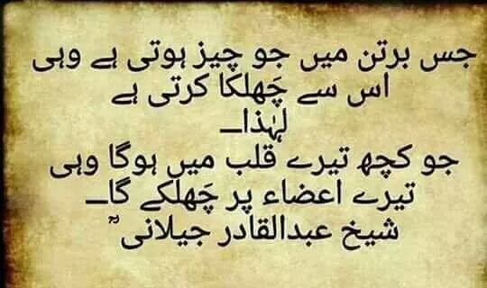 mohsinmalvi19's tweet image. 