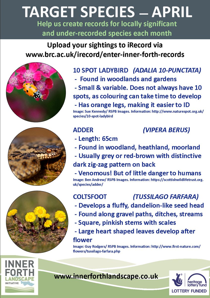 Make the most of the last few days of April & look out for our target species. Don't forget to add your records to - brc.ac.uk/irecord/enter-…