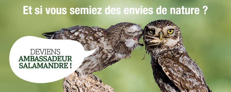 SalamandreNET's tweet image. Curieux de nature ? Rejoignez la communauté de la Salamandre : semez des #EnviesdeNature autour de vous ! enviesdenature.net