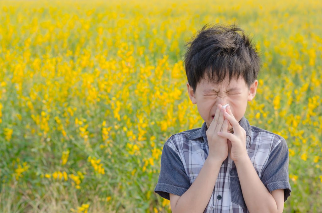 RefineandRenew's tweet photo. How to Beat Allergies the Natural Way  by Tommy Smith - https://t.co/A8pHbFvWH4 https://t.co/gtlniiDtMQ