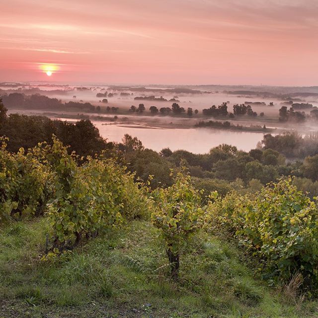 J'aime l'Anjou (Anjoutourisme) Twitter