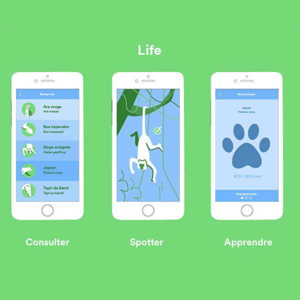 ___n3rd___'s tweet image. Plus que 3 jours pour bénéficier de 60.000 € pour booster votre projet avec le #concours #boursen3rd ! Link in bio 🔝