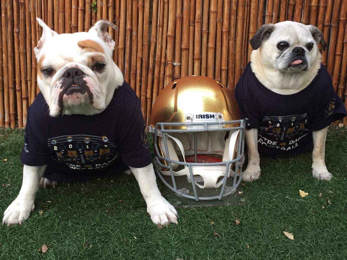 M&D just returned from the ND Spring football game. We got the new 2017 football shirts ❤️ #weareND #nd #springgame #bluegoldgame #notredame