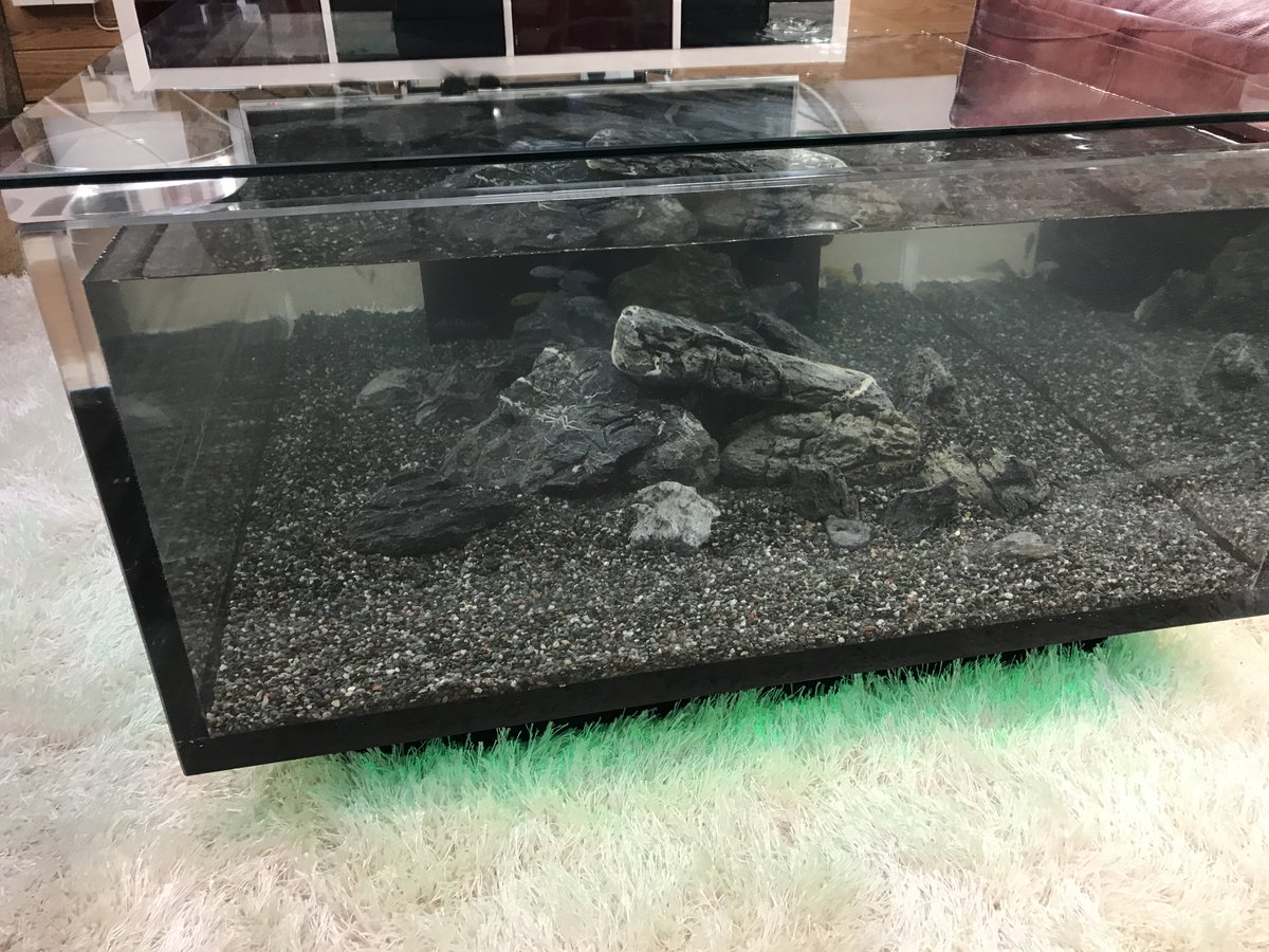 Jargon Pr On Twitter Thank You Aminaquatics For Our New Fish