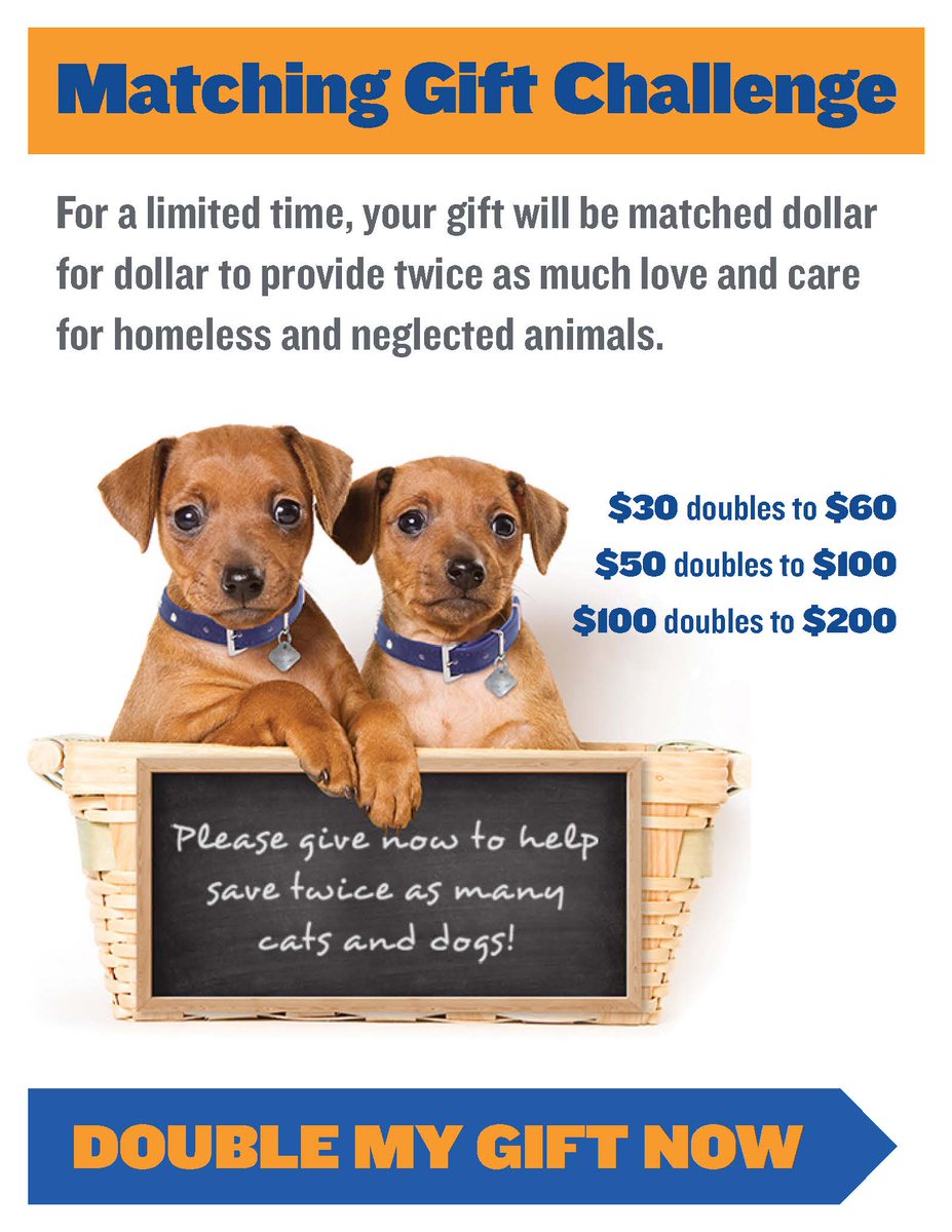 kshumanesociety's tweet image. Great news!! Due to a great response, our #MatchingChallenge has been upped to $60,000! Donate now &amp;amp; DOUBLE your $$ ow.ly/HioX30bel5n