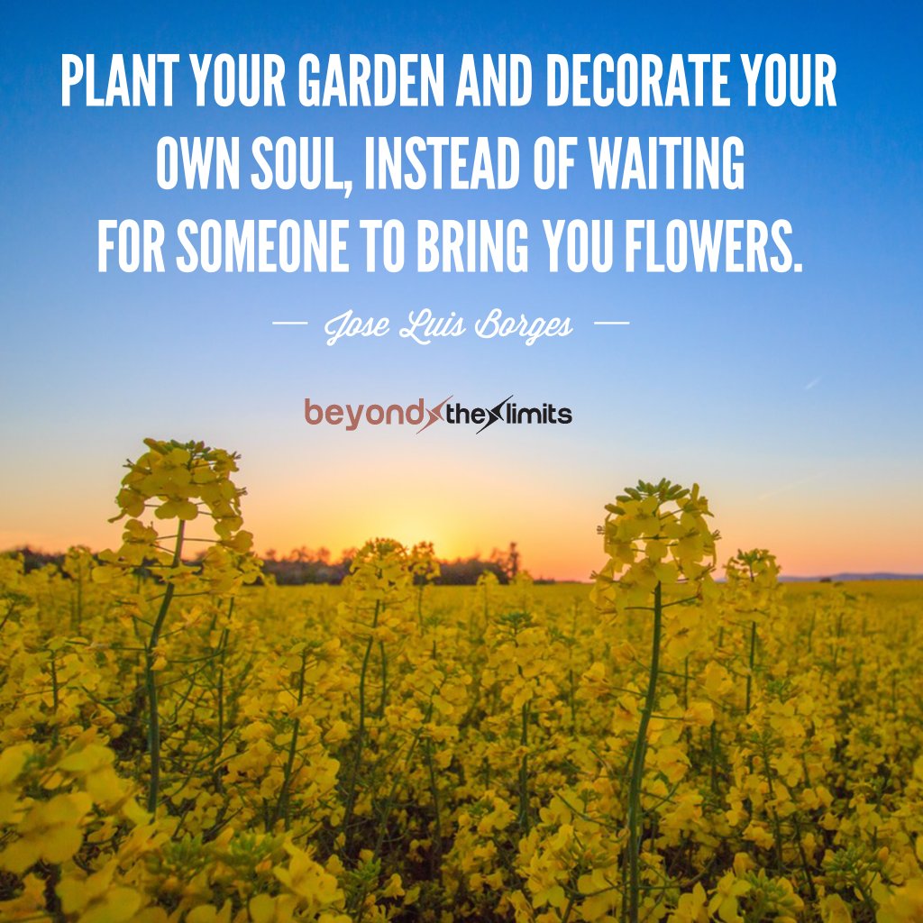 Beyondxthexlimits On Twitter Plant Your Garden And Decorate