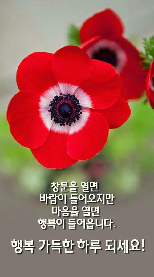 우리가 살고 있는 날은 바로 오늘
우리가 사용할 수 있는 날도 오늘
우리가 소유할 수 있는 날은 오늘뿐 

오늘을 사랑하라