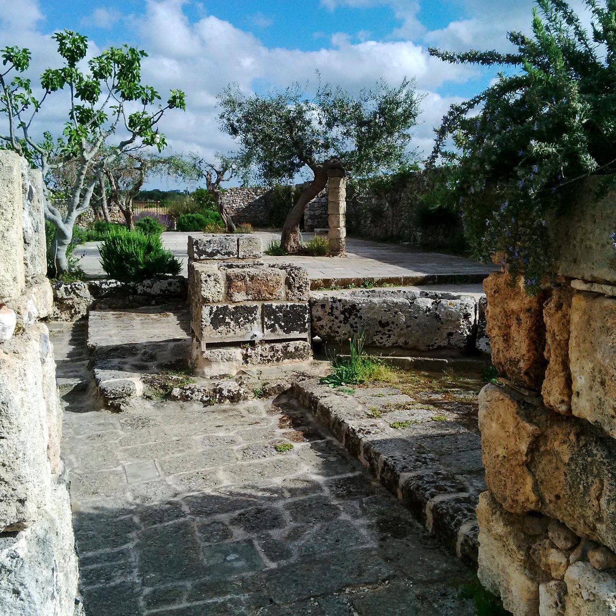 Salento Lovers tweet media