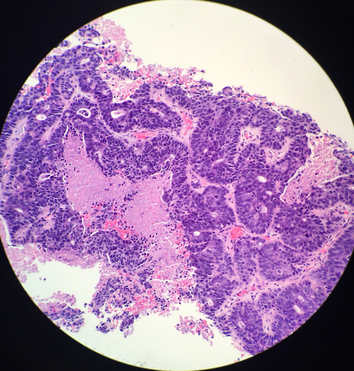 Donald Christensen tweet media