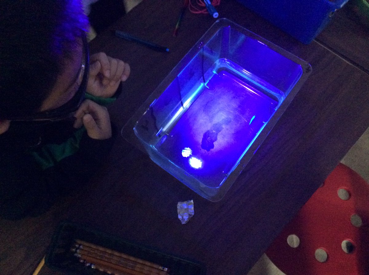 How do zebrafish react to light? <a href="/LincolnK8School/">Lincoln K-8 District-Wide School</a>