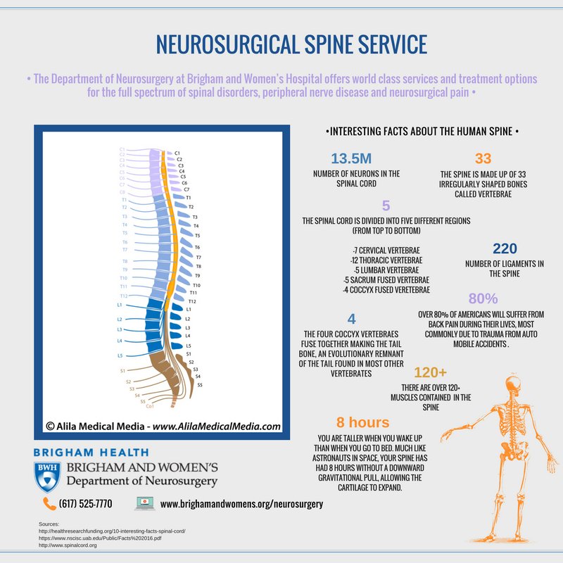 BWHNeurosurgery's tweet photo. Find more information about our Neurosurgical Spine Service here: https://t.co/i0R7aeU0cw #BWH #SpineService  #spinalneurosurgery https://t.co/ByjwUVtjmZ