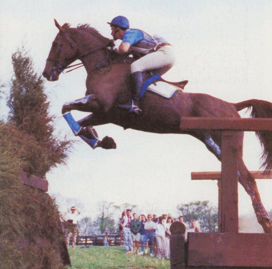 USEAAreaIVYR's tweet photo. Wilton Fair Fund. Grants for educational opportunities for riders 29 and under. https://t.co/0rbS1NqTWN https://t.co/Z6dflmzXN2