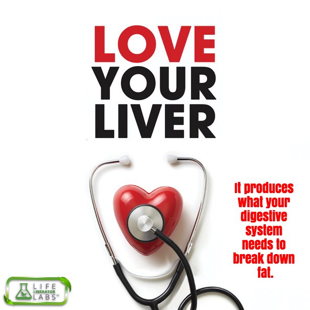 LifeLibLabs's tweet photo. Your liver produces what you need to digest fat. #LiverLiberate could be just what you need to jumpstart your #WeightLoss! @lifeliblabs https://t.co/NcDCWBT3Lg