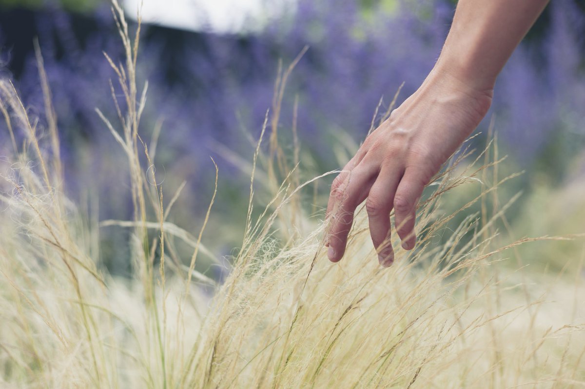 What does Holistic Healing Partnership offer? 
holistichealingpartnership.com
#healing #holistic #health