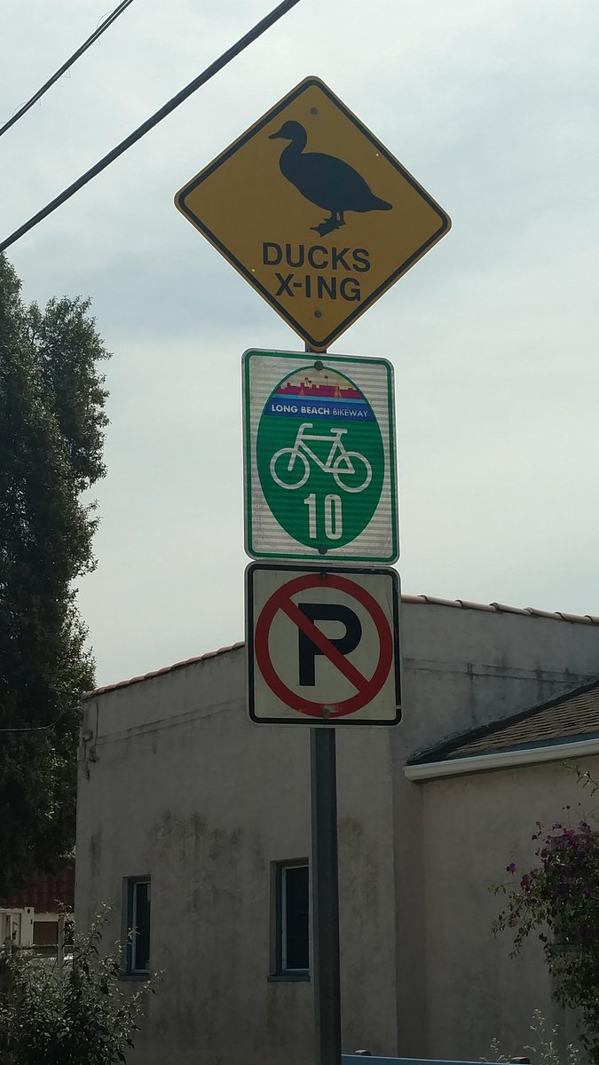 Xicanamama3's tweet photo. This sign this morning made my day! Duck's crossing 🐤
#LCWA, #wetlands @RMC, #FriendsofColoradoLagoon https://t.co/vNI5ttM91w