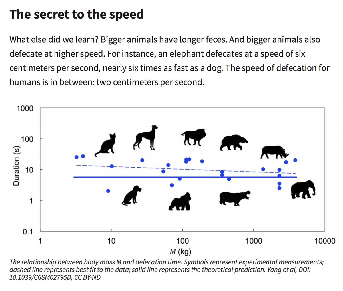 Animal Speed Chart