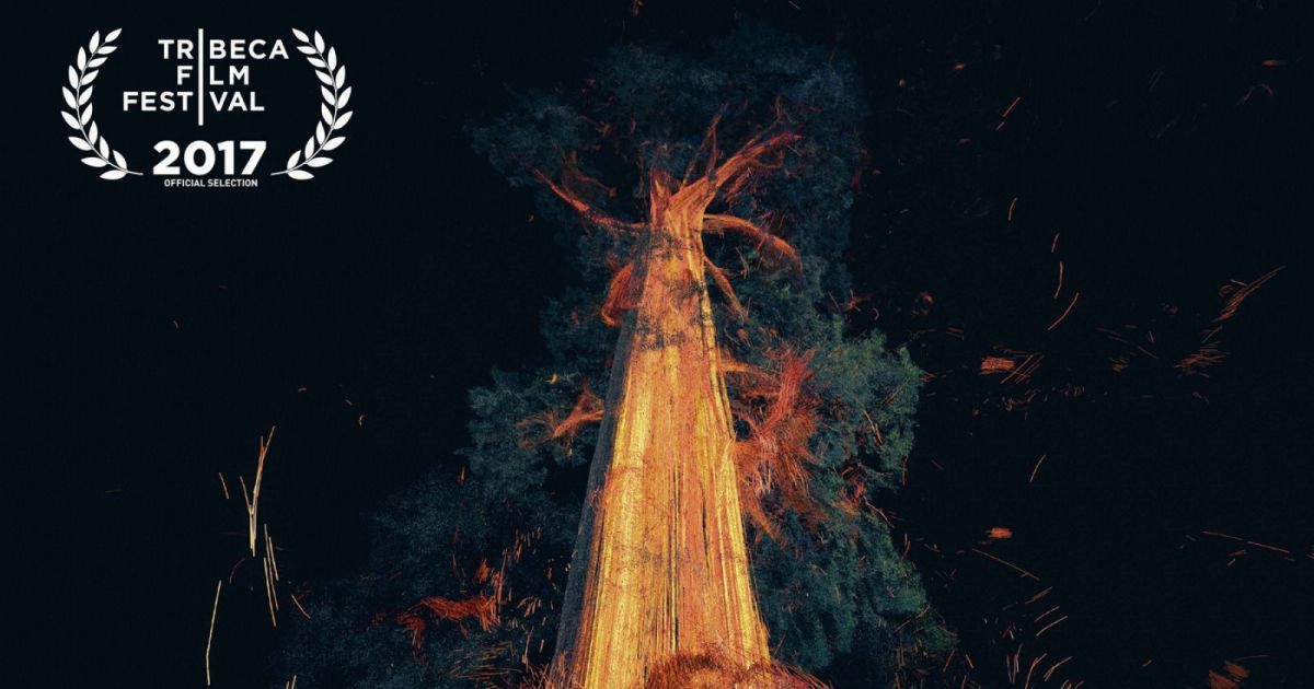 realitysrvcs's tweet image. I hugged a tree because art! #AR #VR buff.ly/2qg9GrC