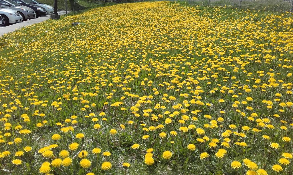 FieldEast's tweet image. 