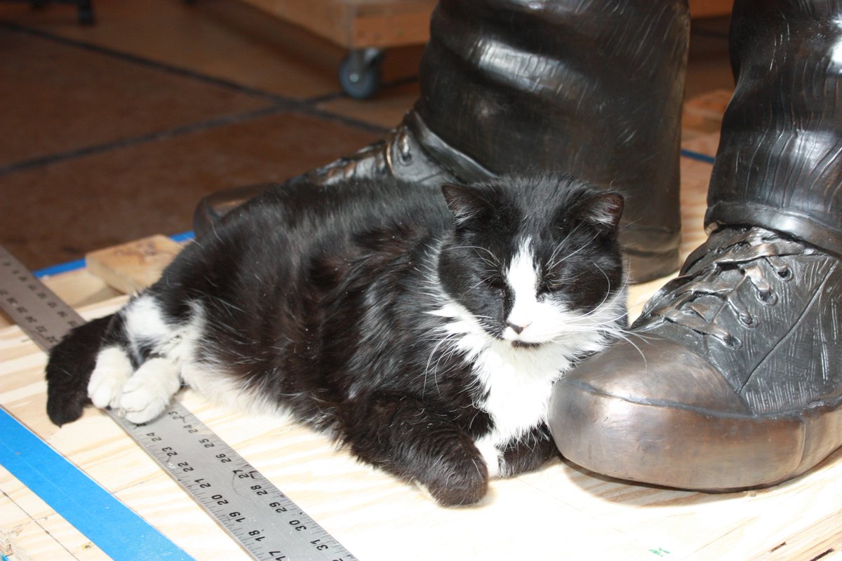 Picasso is hard at work, making sure to get those darn catnaps in! It's tough work being the studio kitty.