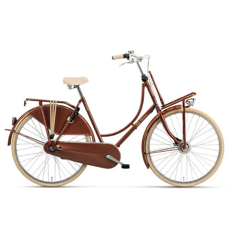 GirlWithoutFire's tweet photo. Nieuwe Batavus fiets koperkleur gejat vanmiddag tussen 15:30-16:30 thv Gerard Noodtstraat #Nijmegen centrum. @POL_Nijmegen https://t.co/JjvJRVE1Gt