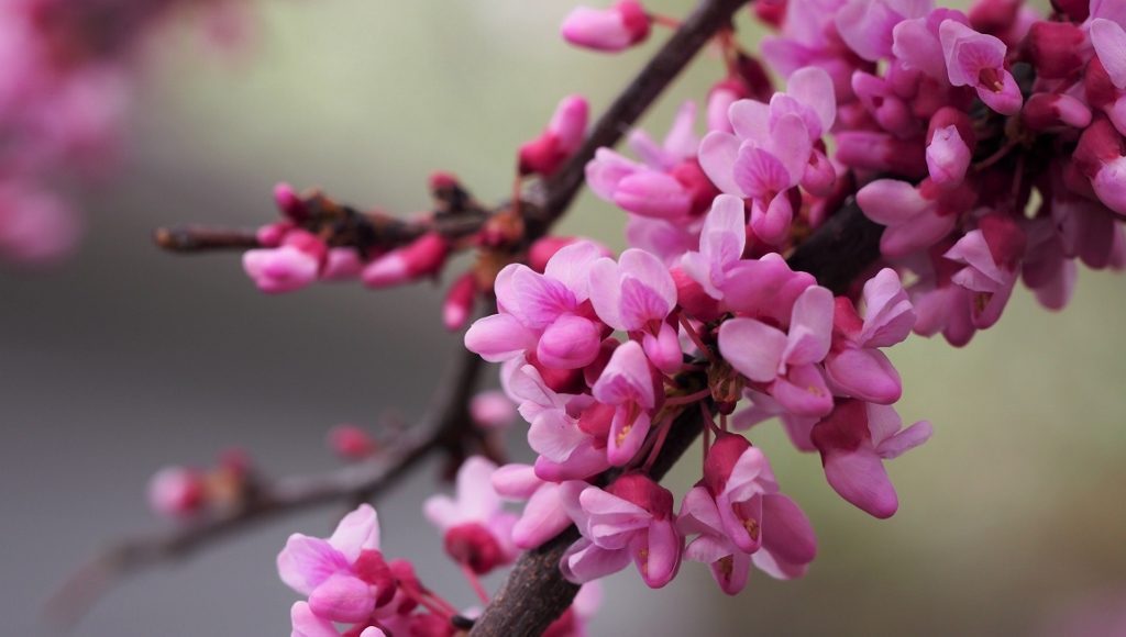 My #biomimicry Workshop Takeaways thinkbiomimicry.com/2017/04/27/wor…