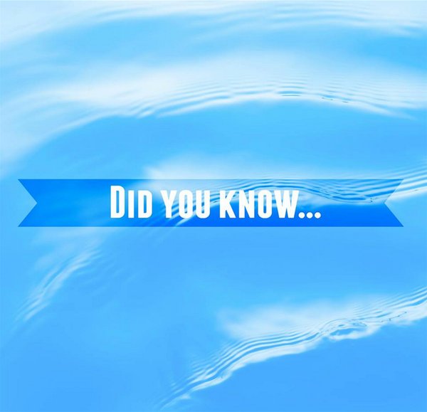 MurtecICD's tweet image. Did You Know...
The world's largest pool which holds 66 million gallons of water, at 3,323ft in length is at a resort in Chile.