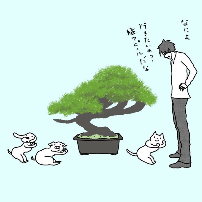世界盆栽大会のtwitterイラスト検索結果 古い順 世界盆栽大会のtwitterイラスト検索結果 古い順