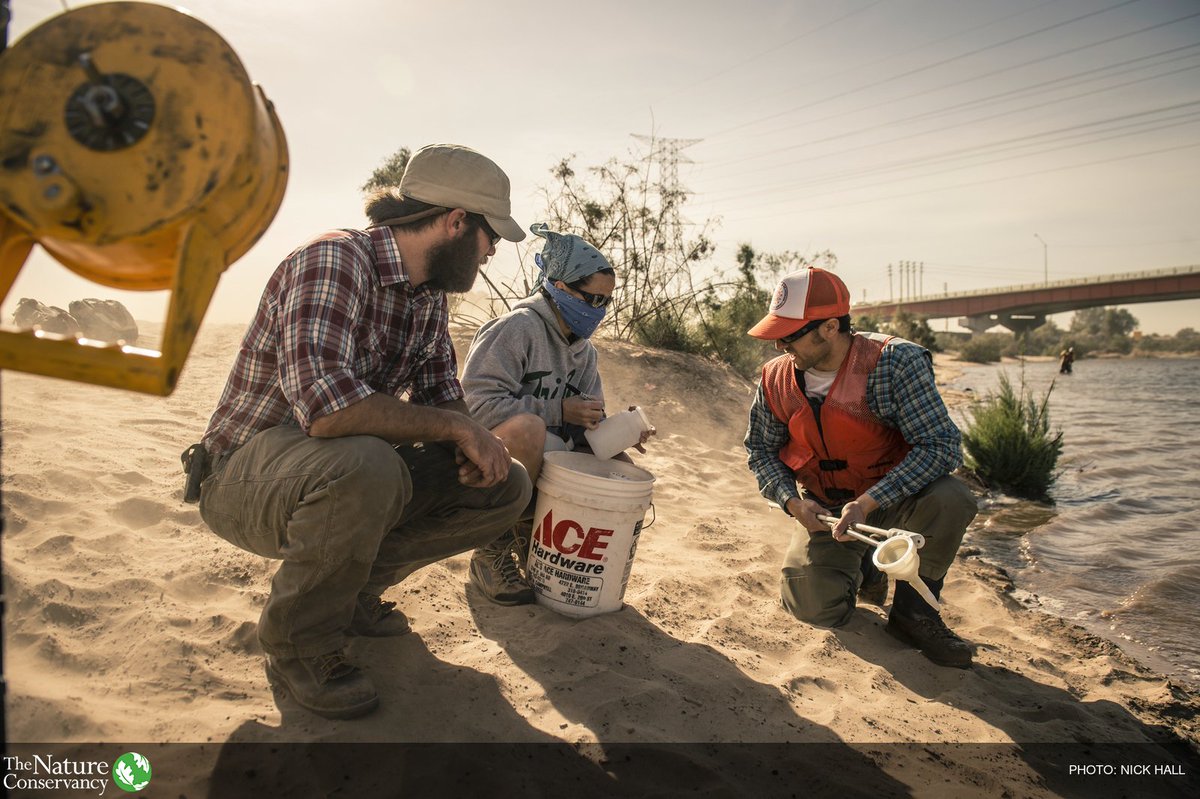 nature_org's tweet image. There are #NoSidesInScience: say no to cuts to scientific research. bit.ly/2oBnQY0 #MarchForScience #EarthDayEveryDay