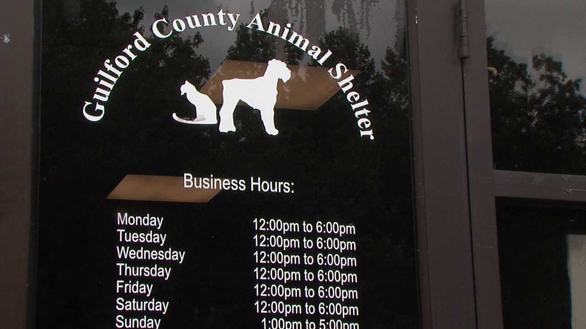 State gives Guilford County Animal Shelter warning for mistreatment of animals FOX8 WGHP