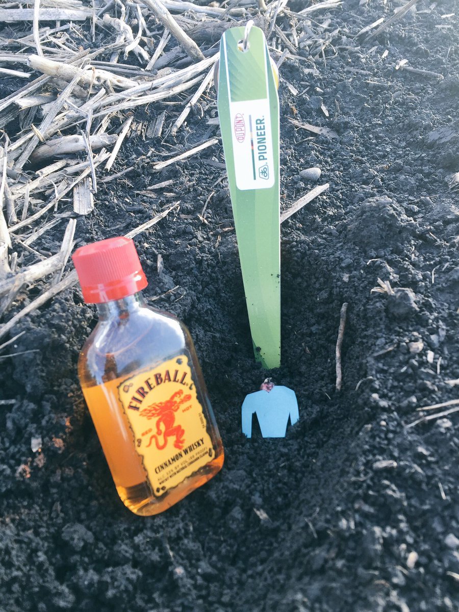 It's alright little buddy, only a few more days of this cold weather