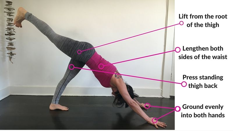 Yoga_Journal's tweet image. Just getting started?—here are some of our fave #beginnersyoga #yogatutorials, #yogavideos + #yogasequences. ow.ly/l18f30bffMZ