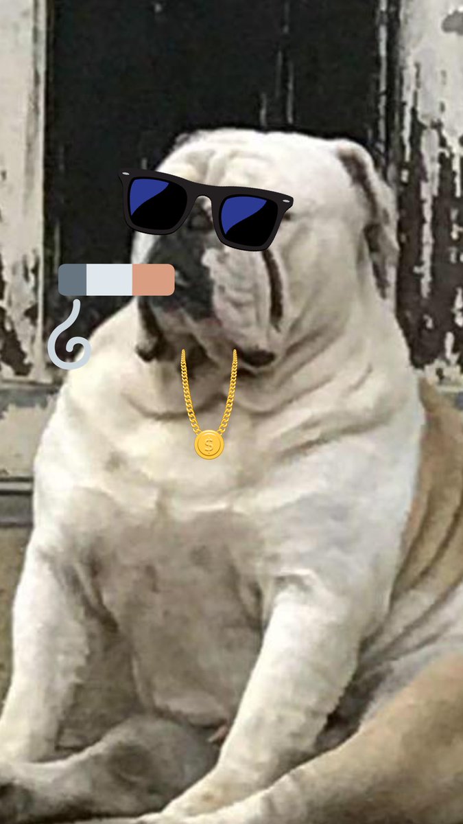 jorgecaddena's tweet image. #SpikeLife