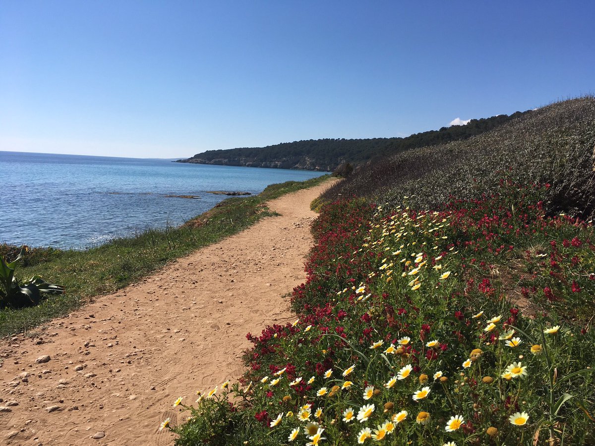 NatalyTuits's tweet photo. @TurismoMenorca Primavera explosiva https://t.co/lV0d61fRnz