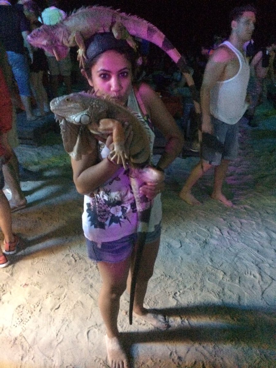 gurjeet_chhabra's tweet image. #StepOutStepUp @LottoSportIndia afraid of lizard at home , step out to over my fear and hold giant lizard