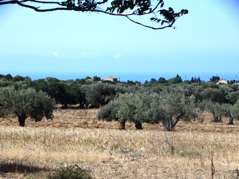 SicilyLiving's tweet photo. Historical villa antica for sale in the exclusive countryside area of Scicli with fantastic panoramic views. https://t.co/2emgbRb1Vi https://t.co/E2R0sijyFl