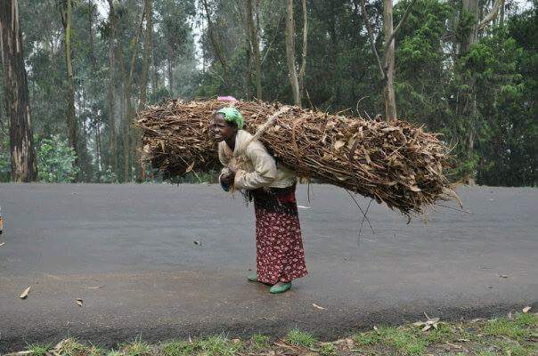 MissManjo_NoMor's tweet image. If wealth was the inevitable result of hard work and enterprise, every woman in Africa would be a millionaire.