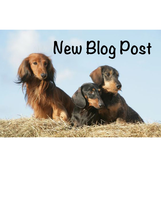 Weenerful's tweet photo. NEW BLOG POST!!! ----> https://t.co/UyM3rMzGtj https://t.co/Ttg8Yq5WZ1