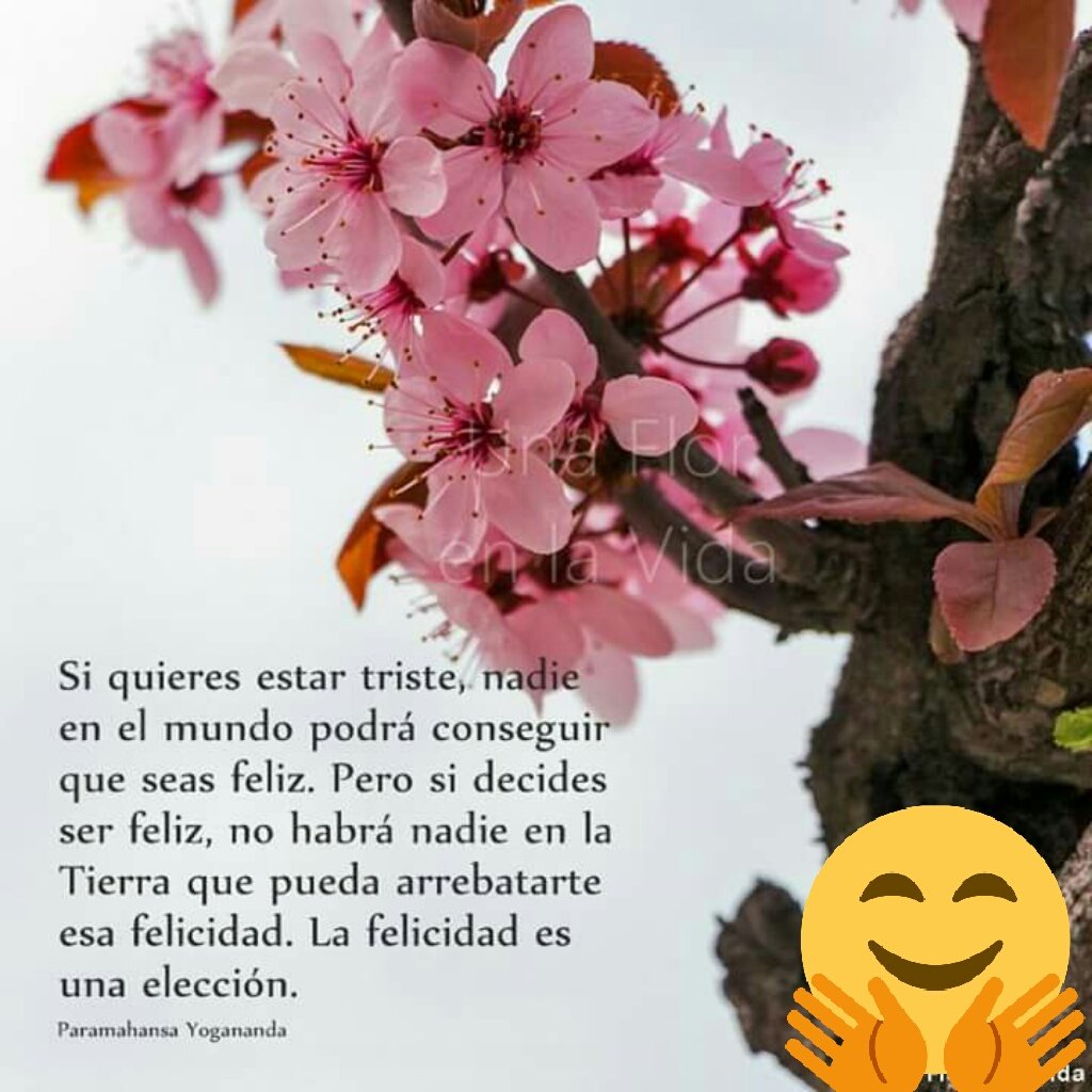 consuelo_cor's tweet photo. https://t.co/VBi5sOx7BL
