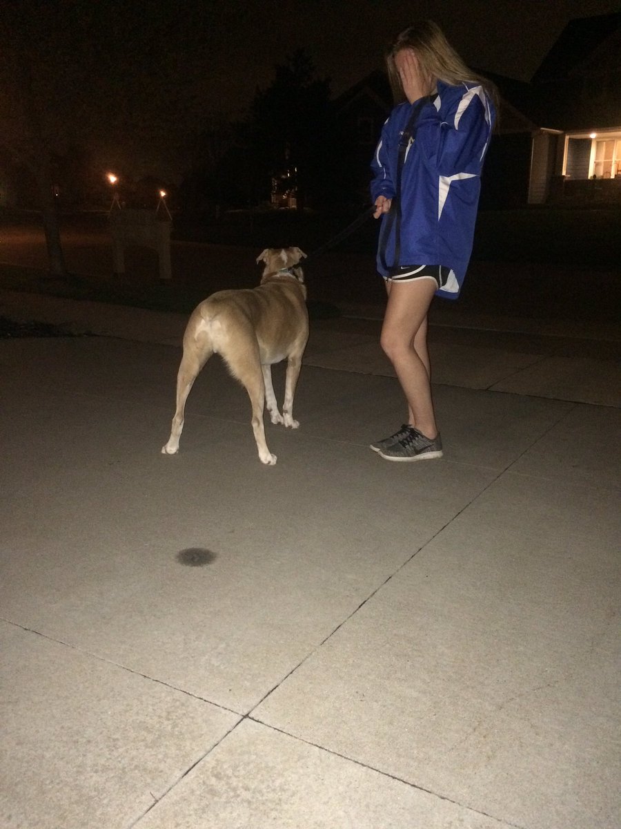 NotEvenRealFeet's tweet photo. who let the dogs out? apparently alyssa!!! kill by anna jacobson on alyssa from pussy power🐶 @WoodburyNerf https://t.co/UmWlyPXN5K
