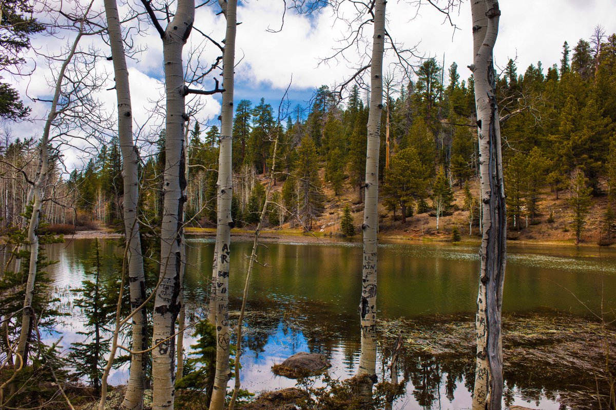 leewebb's tweet image. Struggled trying to get some fun images, not spring, not winter, in-between #mirrorlake #duckcreek #utah #nikon #scenic #spring @leewebb