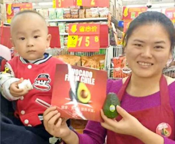 embchileenchina's tweet photo. Chile se transforma en el primer exportador de palta (o 'pera cocodrilo') a China. https://t.co/Yo5RRxnqeQ
Vía @La_Segunda https://t.co/YSJXzV81ws