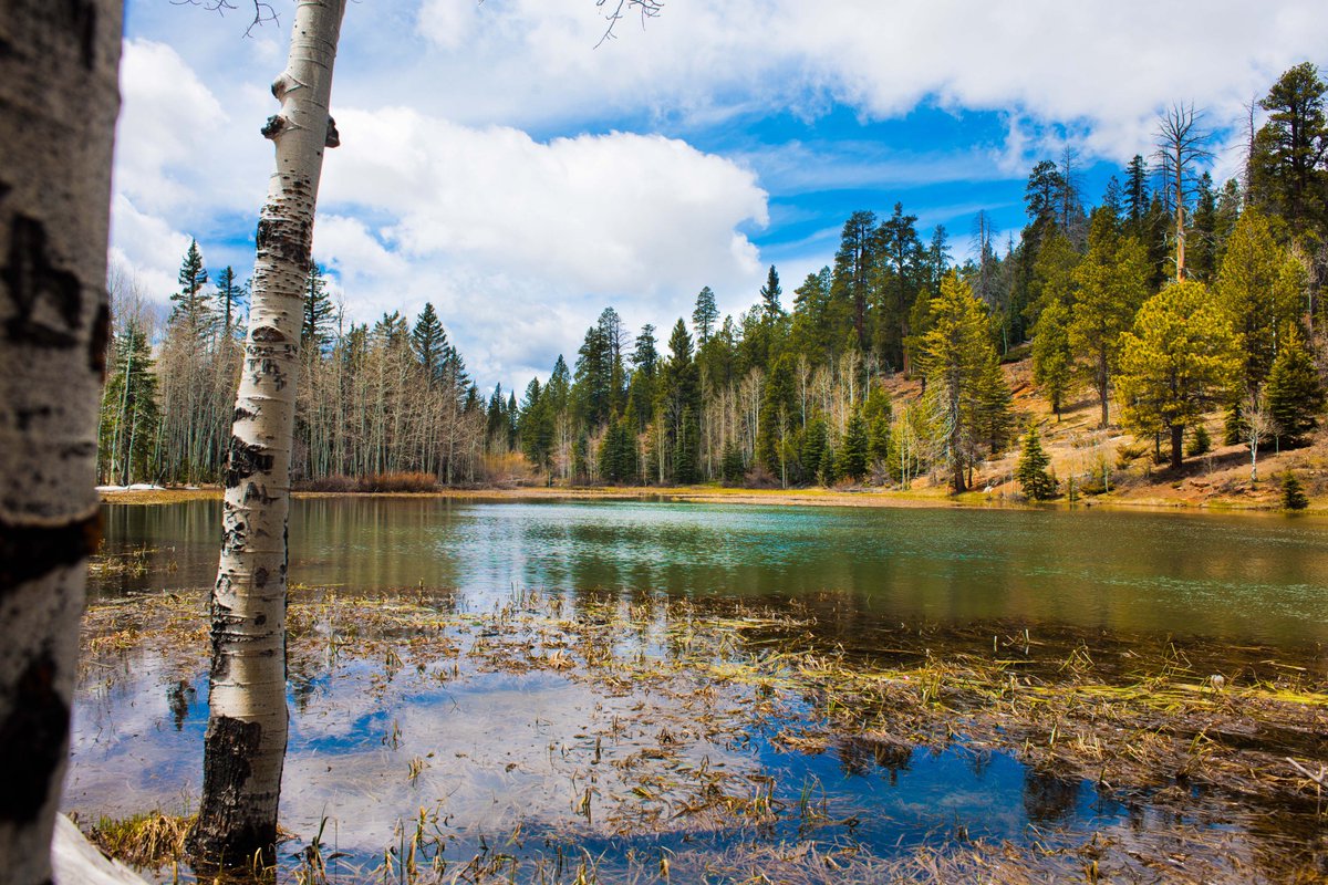 leewebb's tweet image. Struggled trying to get some fun images, not spring, not winter, in-between #mirrorlake #duckcreek #utah #nikon #scenic #spring @leewebb