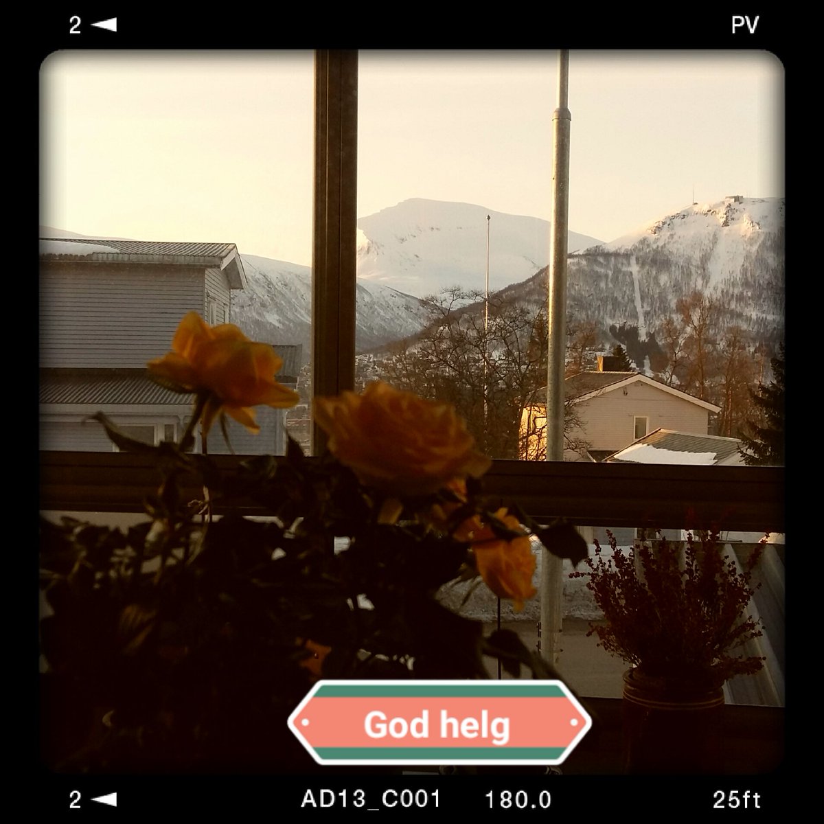 livheidi (@lvervoll) on Twitter photo 