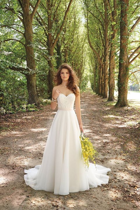 NOZZEadvisor's tweet photo. La leggerezza dell'anima porta alla felicità.
#wedding #recensioni @NOZZEadvisor https://t.co/rawAA2xfd6