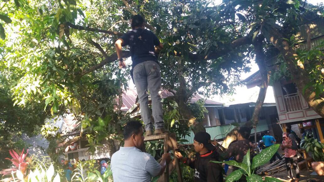 DPruangMKS's tweet photo. Kerja bakti Pemkot MKS di desa binaan kel.Tanjung Merdeka. Sekaligus memantau progres pekerjaan rumah sehat binaan Dinas Penataan Ruang https://t.co/p3rMWAht3V