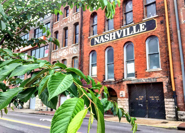 LaFemmePhojo's tweet photo. Spent all driving, so we decided to take a break & honkey tonk down Broadway ๐ธ
#RoadTrips #drivingwithdogs #Nashville https://t.co/yfx6nRsRUE
