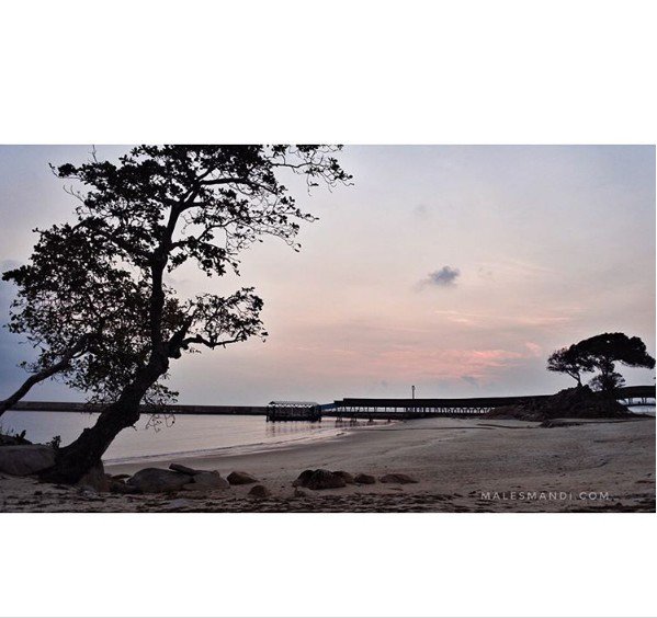 PesonaBLR's tweet photo. Mengejar matahari terbit di tepi pantai #BLR mendatangkan kedamaian tersendiri bagi @malesmandicom. Setuju? https://t.co/pixrwEsRLR