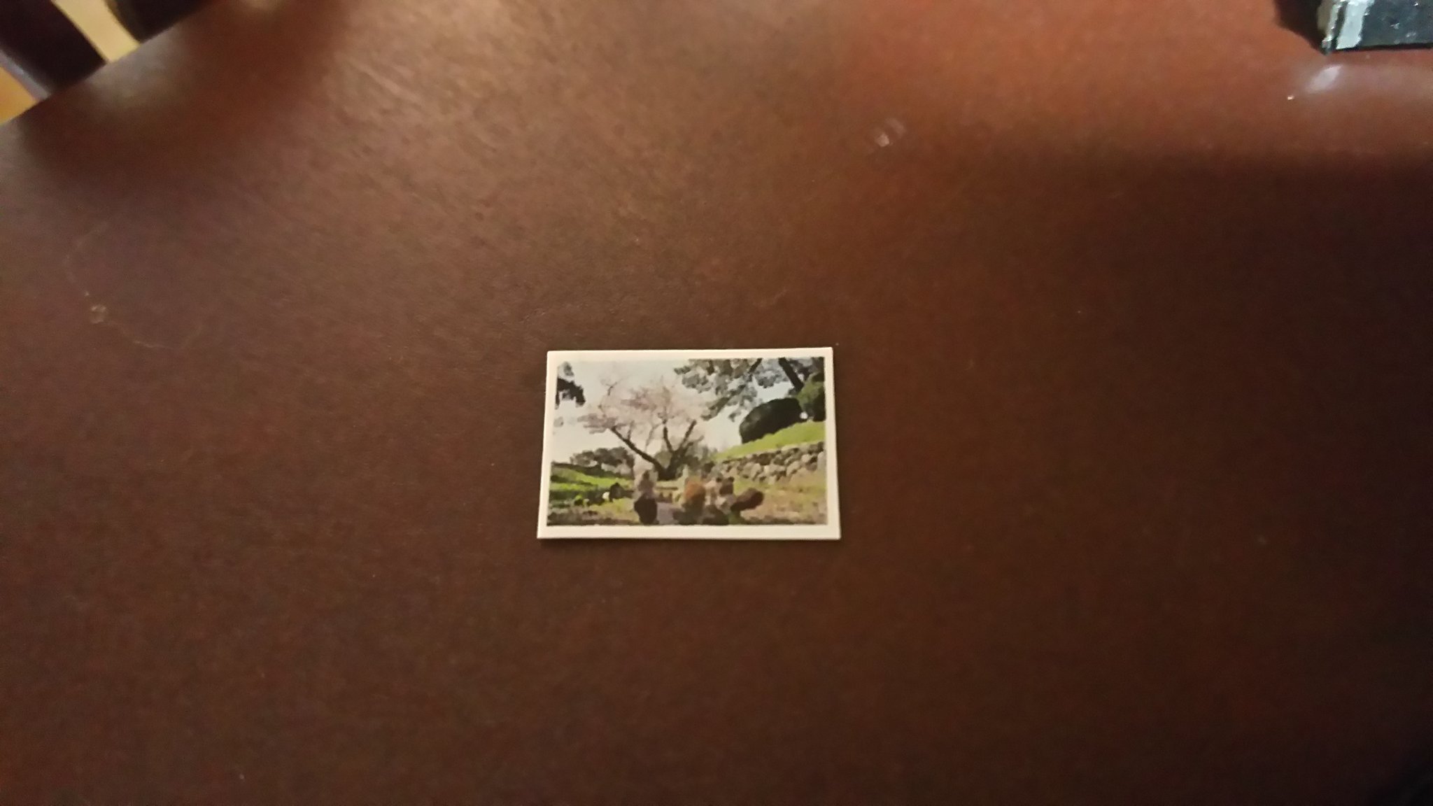 お好み犬 きゅうり 紙粘土 桜餅の作り方 ニコニコ T Co Fgbkuewj7q Youtube T Co H3d8mn9fkr 4月の作ってみた動画です ヽ U ノ ぜひ 最後まで楽しんでってね ミニチュアフード フェイクスイーツ T Co