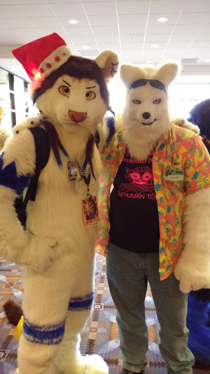 Duran__Wolf's tweet photo. Happy #FursuitFriday ! It was great meeting @ClumzyLion at #MFF16 https://t.co/vGvzmcRiAL